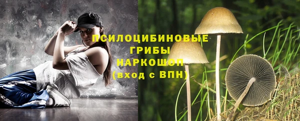 мдпв Новозыбков